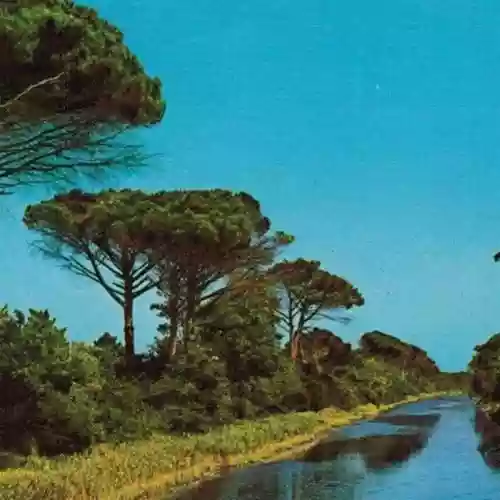 Cover Il lungo addio - Pinarella Blues