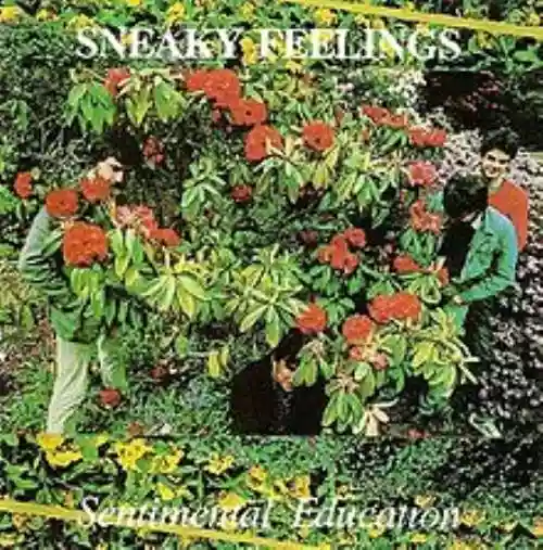 Cover Sneaky Feelings - Sentimental Education