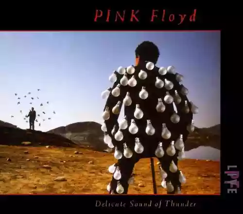 Cover di Delicate Sound of Thunder