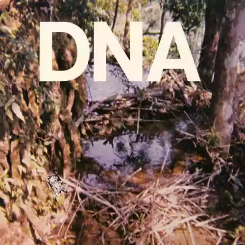 Cover DNA - A Taste of DNA