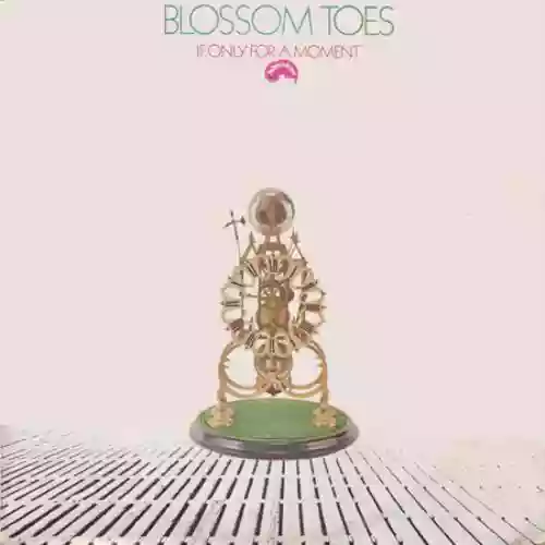 Cover Blossom Toes - If Only for a Moment