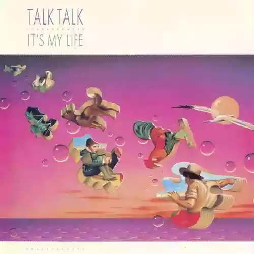 Cover Talk Talk - It's My Life