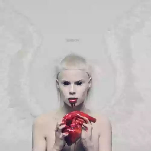 Cover Die Antwoord - TEN$ION