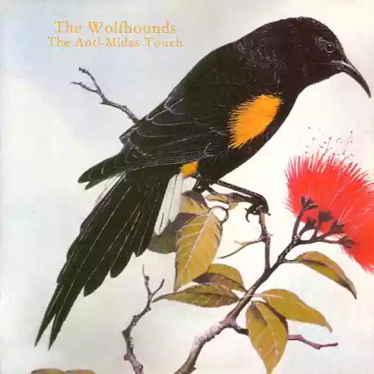 The Wolfhounds: The Anti-Midas Touch