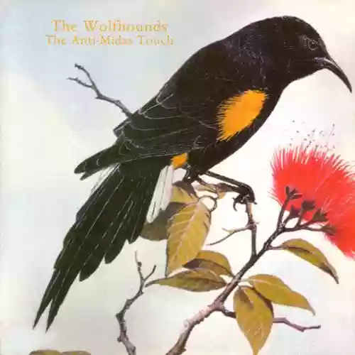 Cover The Wolfhounds - The Anti-Midas Touch