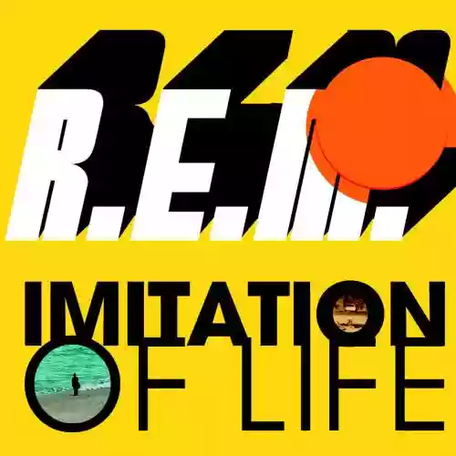 Cover di Imitation of Life