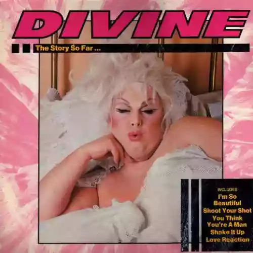Cover Divine - The Story So Far...
