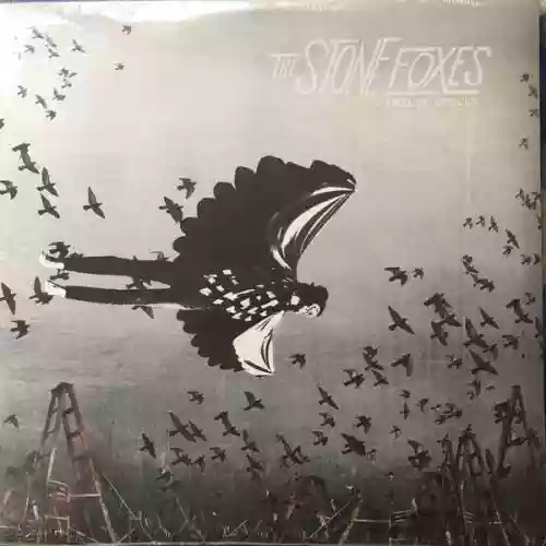 Cover The Stone Foxes - Twelve Spells