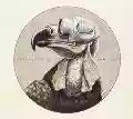 <b>Protest the Hero</b> • Volition