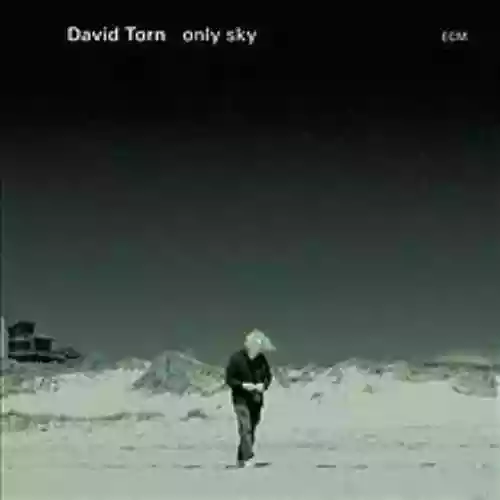 Cover di only sky
