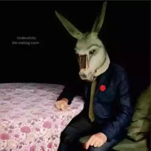 Cover Tindersticks - The Waiting Room