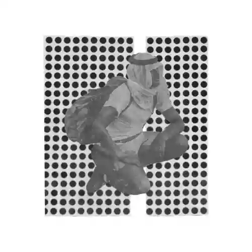 Cover Ulrika Spacek - The Album Paranoia