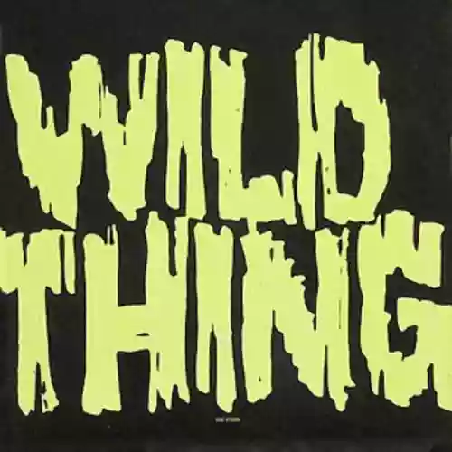 Cover X - Wild Thing