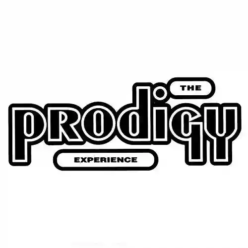 Cover The Prodigy - Experience