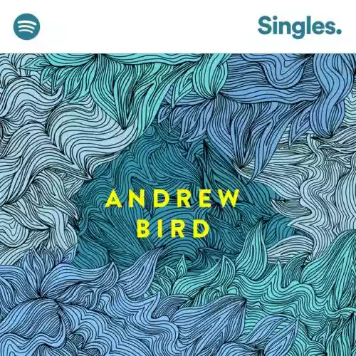 Cover Andrew Bird - Roma Fade