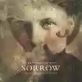 <b>Colin Stetson</b> • Sorrow: A Reimagining Of Gorecki's 3rd Symphony