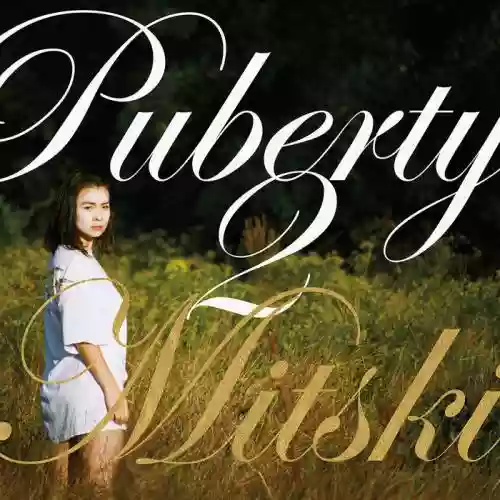 Cover di Puberty 2