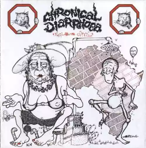 Cover Chronical Diarrhoea - Salomo Says...