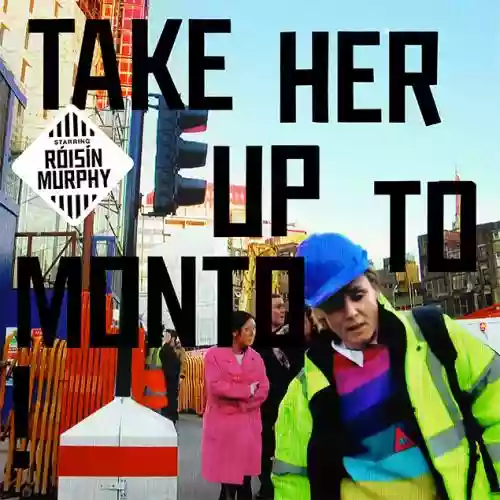 Cover Róisín Murphy - Take Her Up To Monto