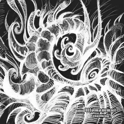 Cover di Snailking