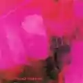 <b>My Bloody Valentine</b> • Loveless