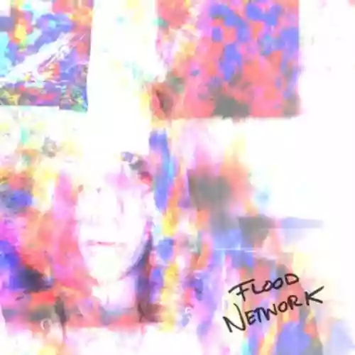 Cover di Flood Network
