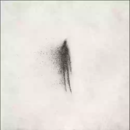 Cover Eluvium - False Readings On