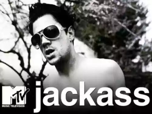 Cover di jackass