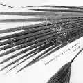 <b>Masayoshi Fujita & Jan Jelinek</b> • Schaum