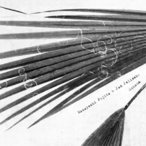 Cover Masayoshi Fujita & Jan Jelinek - Schaum