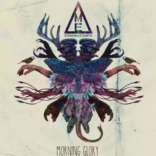 Cover di Morning Glory