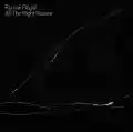 <b>Roman Flügel</b> • All The Right Noises