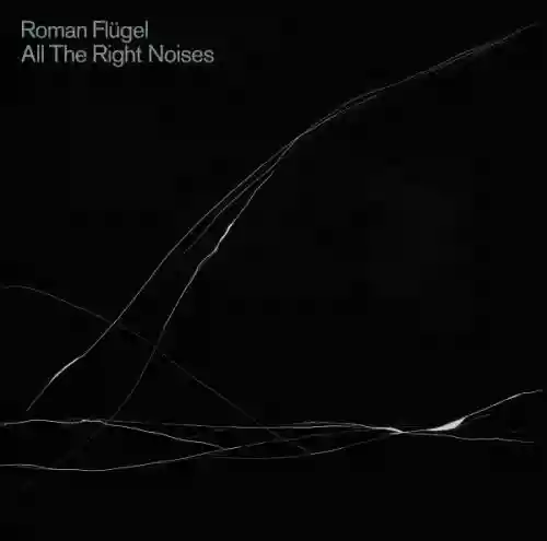 Cover Roman Flügel - All The Right Noises