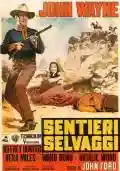 <b>John Ford</b> • Sentieri Selvaggi