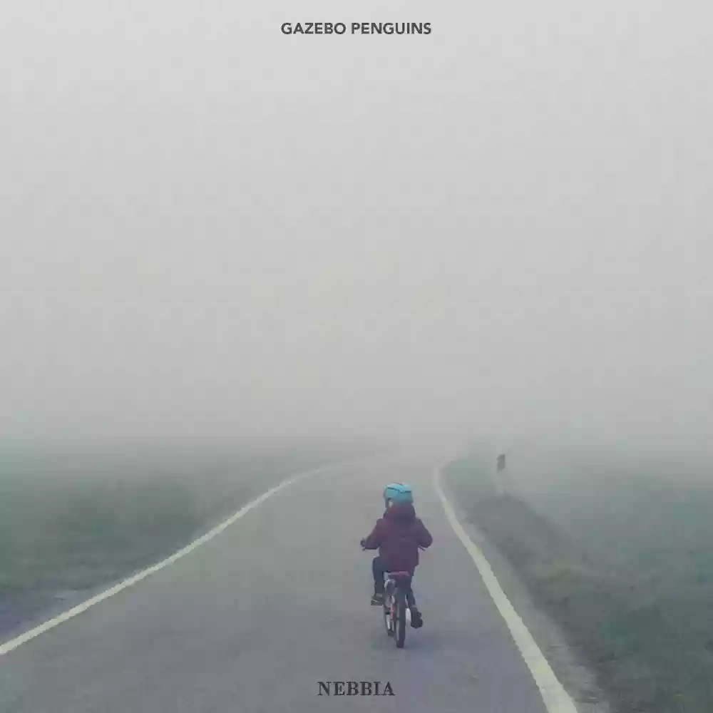 Gazebo Penguins: Nebbia