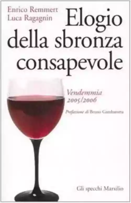 Cover di Elogio della sbronza consapevole 