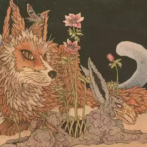 Cover Planes Mistaken for Stars - Prey