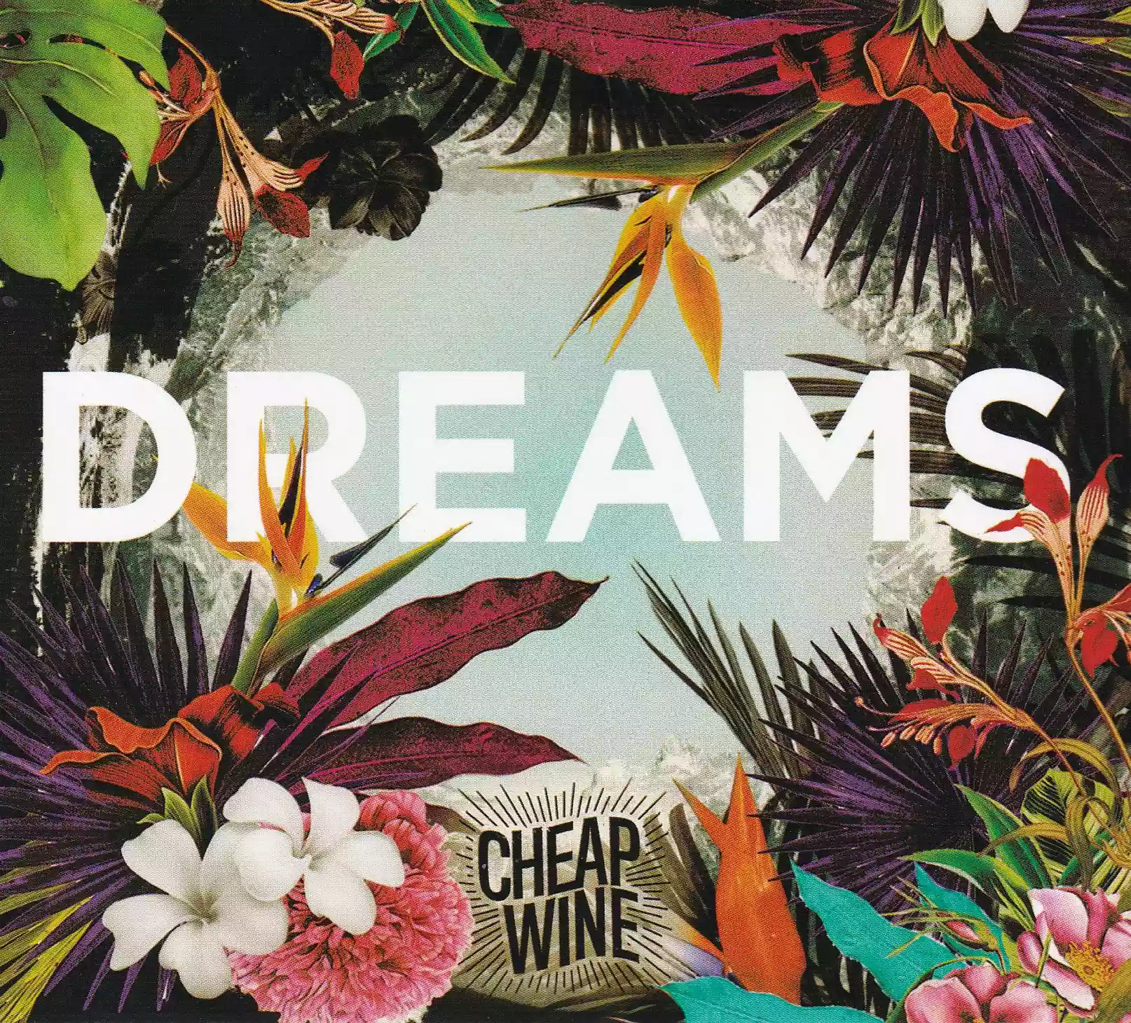 Cheap Wine: Dreams