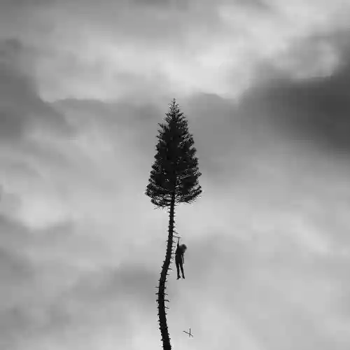 Cover Manchester Orchestra - A Black Mile To The Surface