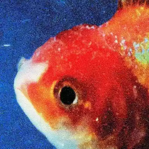 Cover Vince Staples - Big Fish Theory