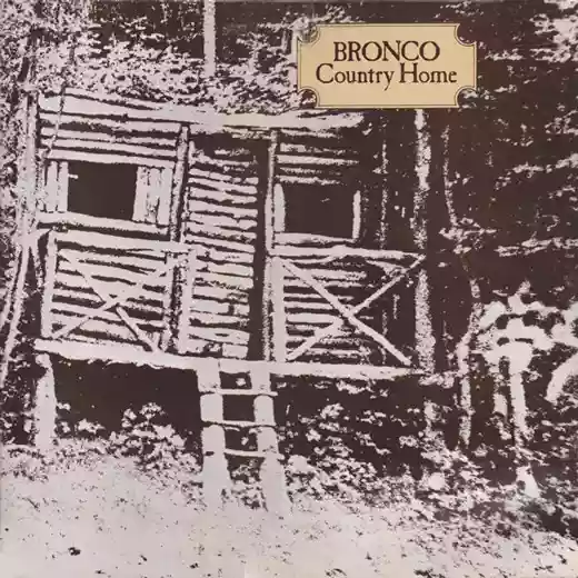 Bronco: Country Home