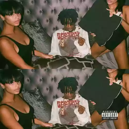 Cover di Playboi Carti