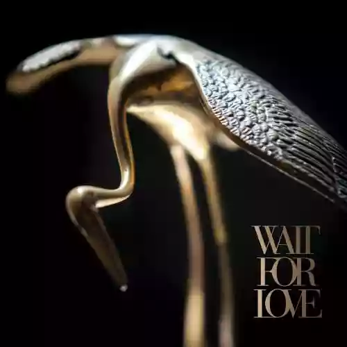 Cover di Wait For Love