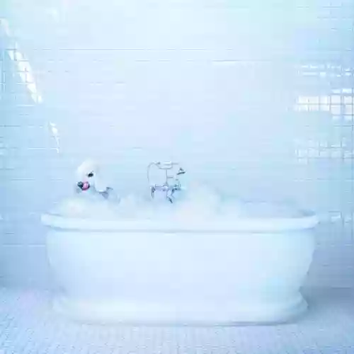 Cover di Vessel 