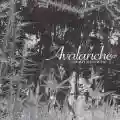 <b>Dear Cecilia</b> • Avalanche