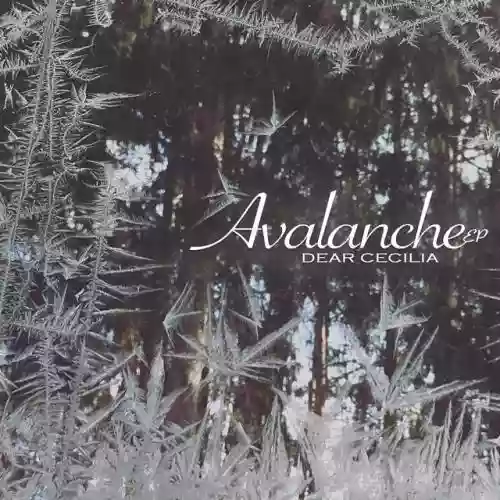 Cover di Avalanche