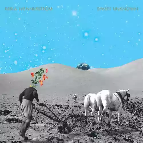 Cover di Sweet Unknown