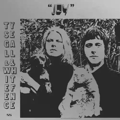 Cover Ty Segall - Joy