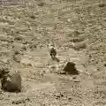 <b>Ben Howard</b> • Noonday Dream