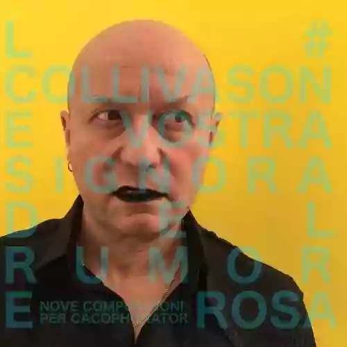 Cover Luca Collivasone - Vostra Signora Del Rumore Rosa (nove composizioni per cacophonator)